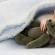 چرا موش ها در خواب یک زن خواب می بینند؟