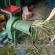 „Pasidaryk pats“ žolės smulkintuvas Šienui smulkinti skirto smulkintuvo gamybos schema