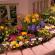DIY cvjetnjak na selu (57 fotografija): biljke za ukrašavanje kompozicije